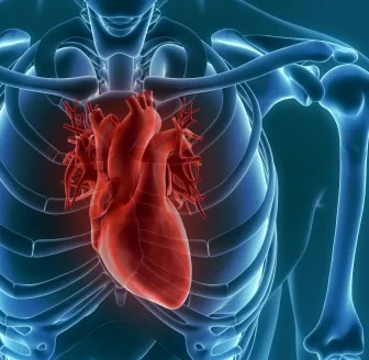 Problemi al cuore: la diagnosi precoce si fa col calcio