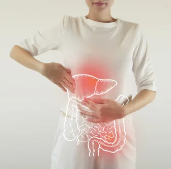 Il doppio intreccio tra fegato e intestino