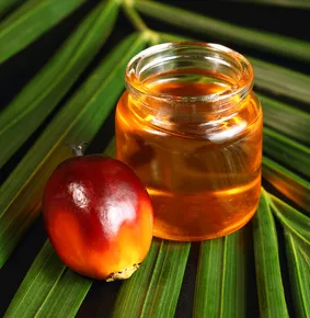 L'olio di palma fa male? Risponde l'ISS