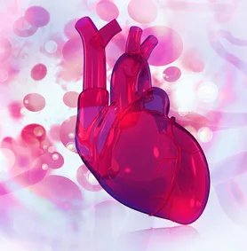 Omega-3, due studi confermano utilità in prevenzione cardiovascolare. I contenuti