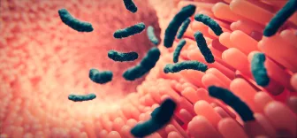 Il microbiota fa da guida, in salute e in malattia